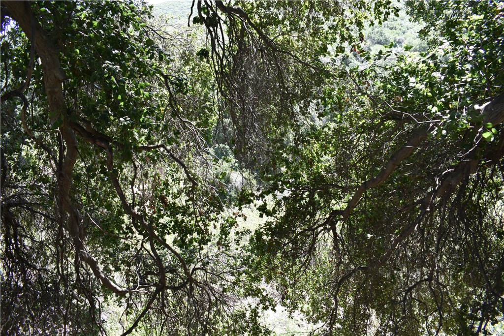 0 Vac Calle El Baranco/Vic Spunk