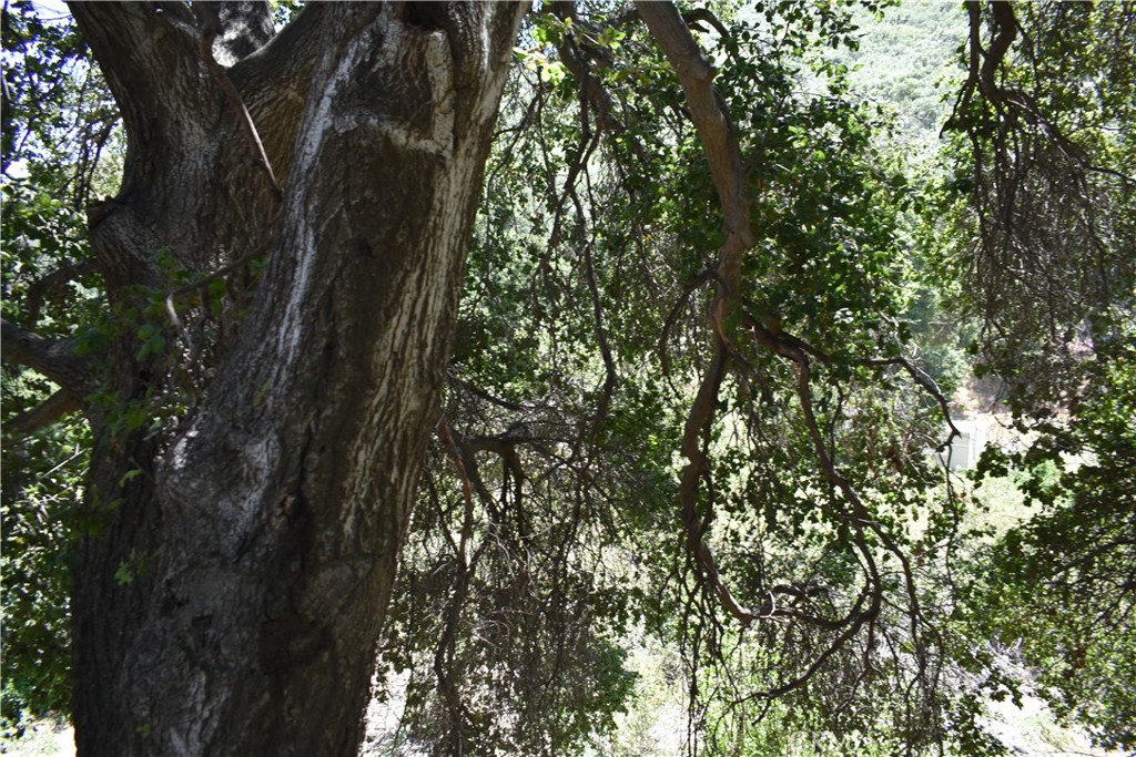 0 Vac Calle El Baranco/Vic Spunk