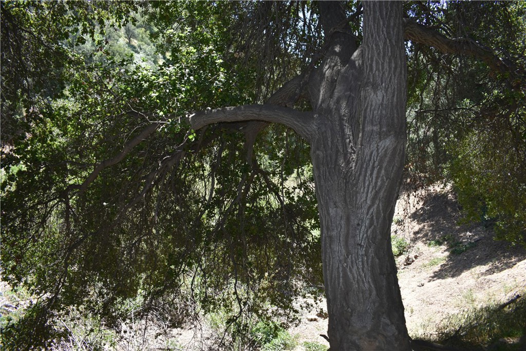 0 Vac Calle El Baranco/Vic Spunk