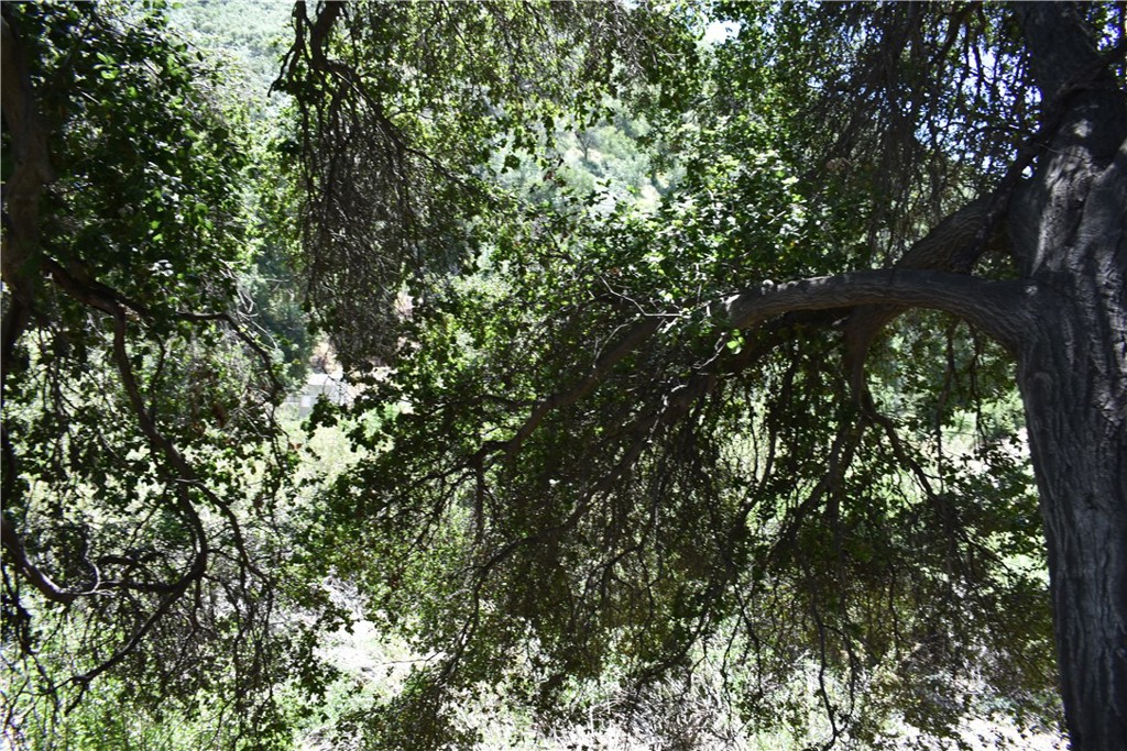 0 Vac Calle El Baranco/Vic Spunk