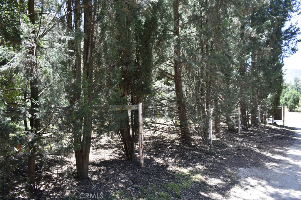 0 Vac Calle El Baranco/Vic Spunk