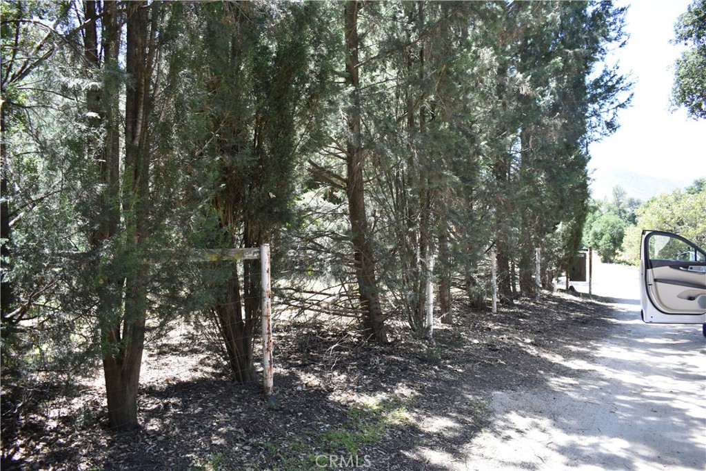 0 Vac Calle El Baranco/Vic Spunk