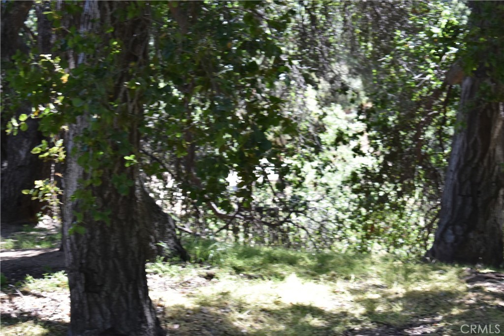 0 Vac Calle El Baranco/Vic Spunk