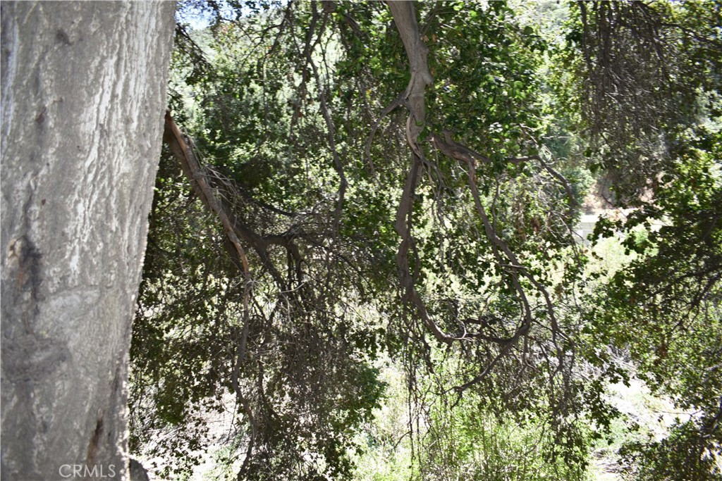 0 Vac Calle El Baranco/Vic Spunk