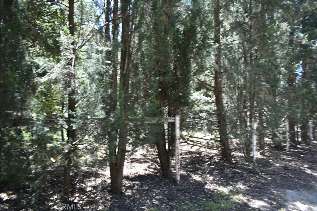 0 Vac Calle El Baranco/Vic Spunk