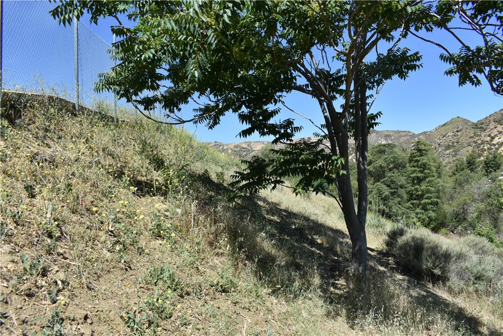 0 off off San Martinez Rd