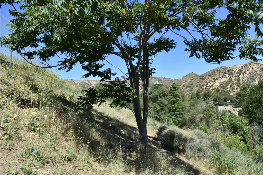 0 off off San Martinez Rd