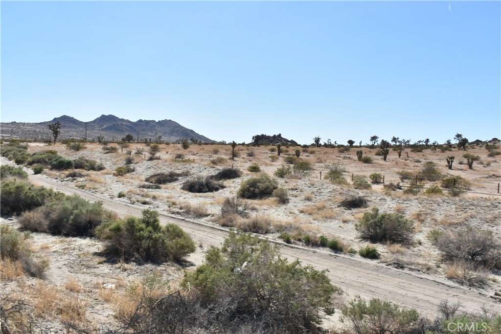 0 Vac/Vic Avenue H8/245th Ste