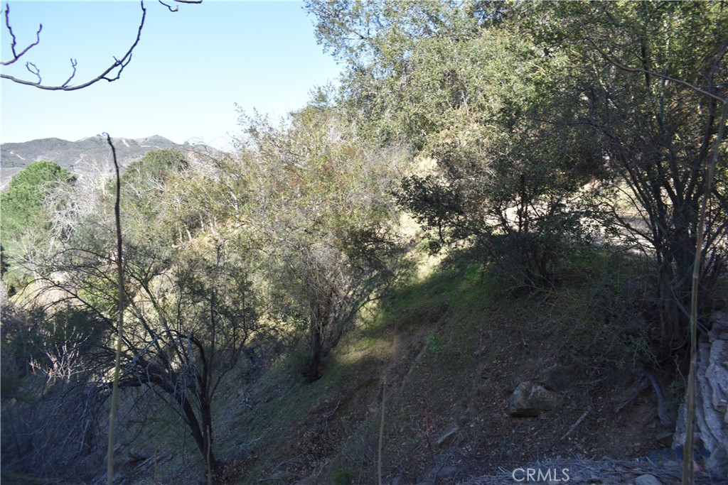 21906 Crest Forest Dr