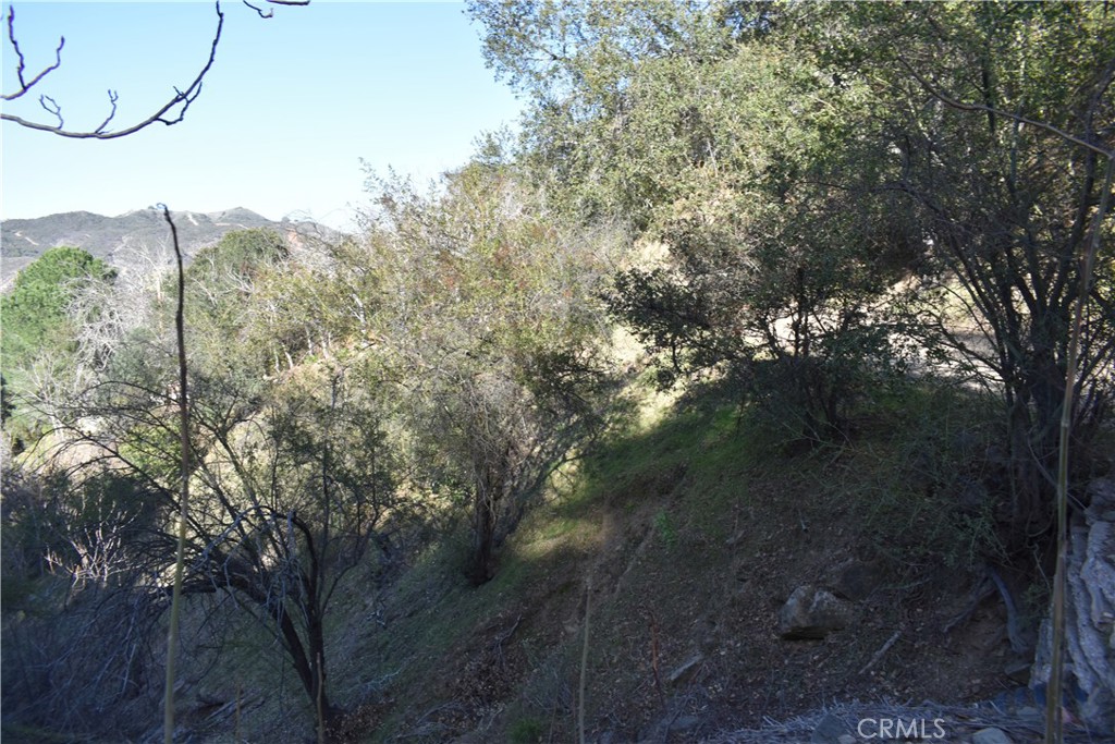 21906 Crest Forest Dr