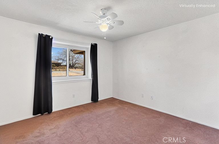 16810 Century Plant Road