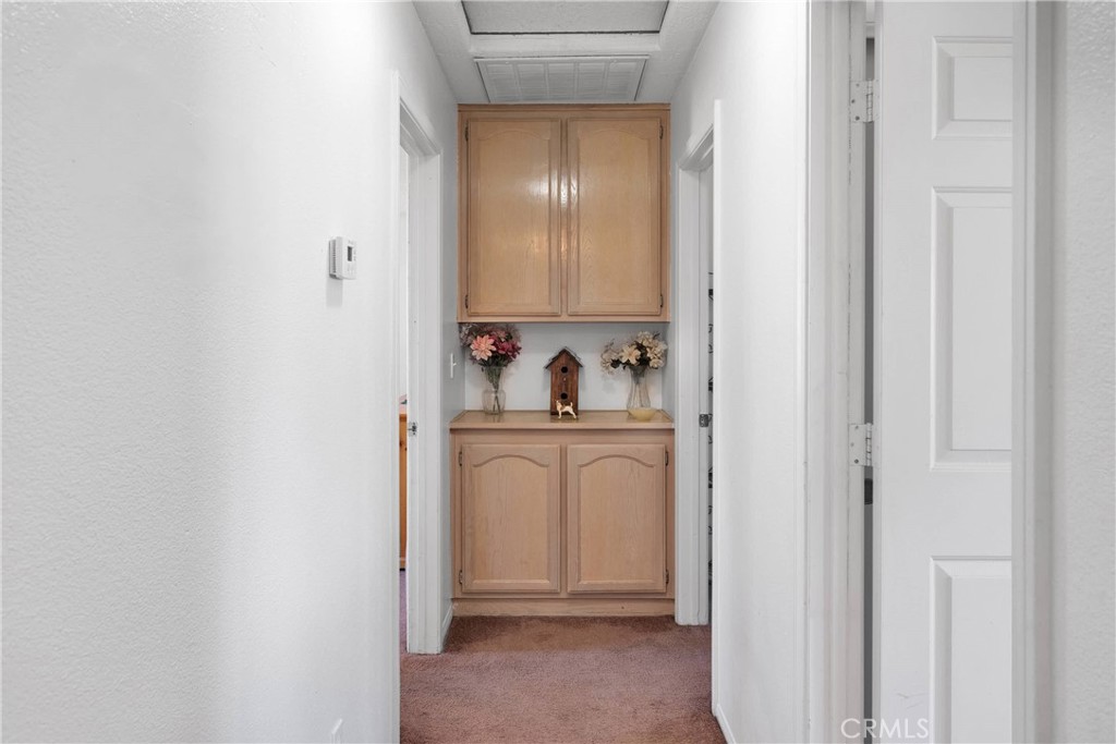 16810 Century Plant Road