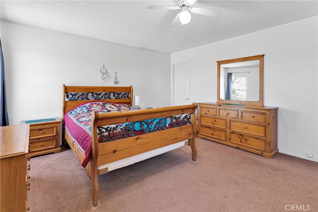 16810 Century Plant Road