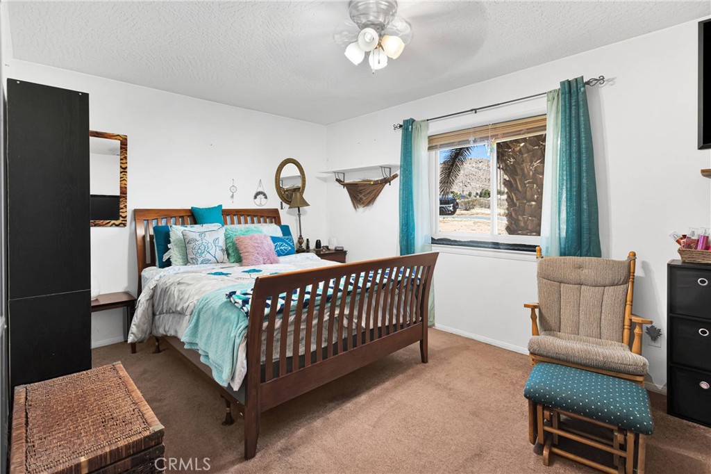 16810 Century Plant Road