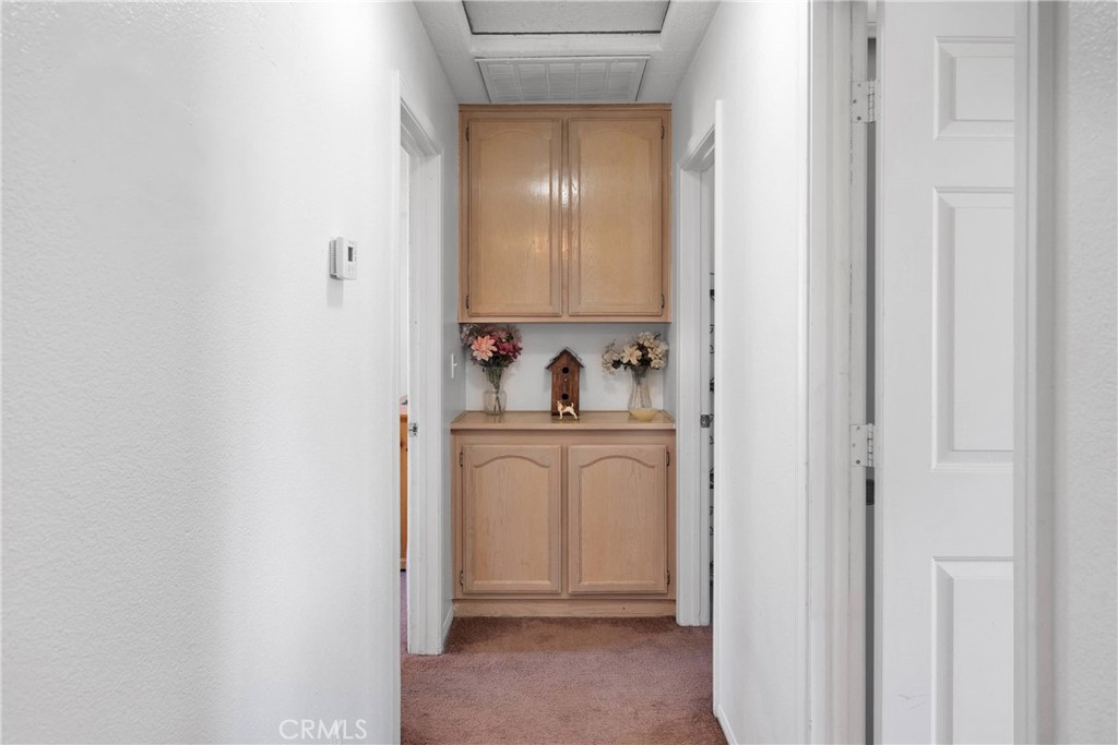 16810 Century Plant Road