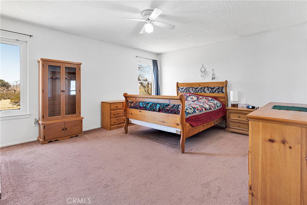 16810 Century Plant Road