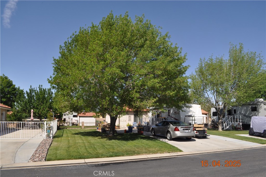 11624 Ridgemark Road