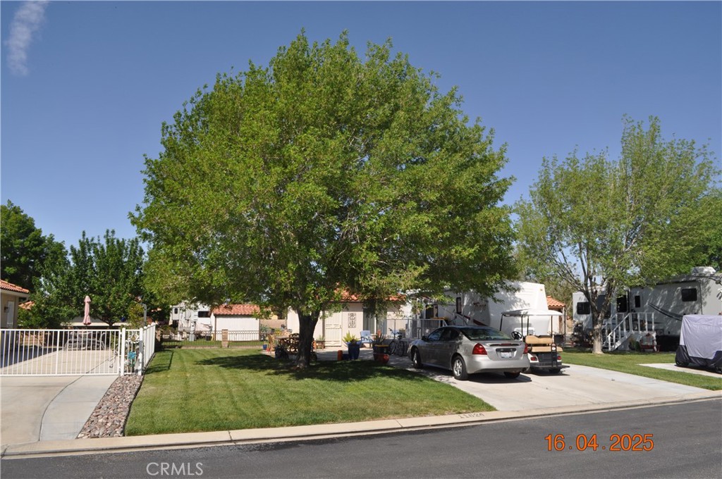 11624 Ridgemark Road