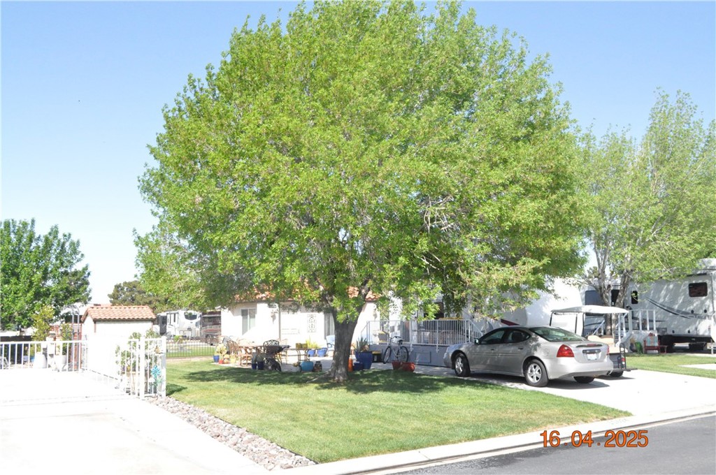 11624 Ridgemark Road