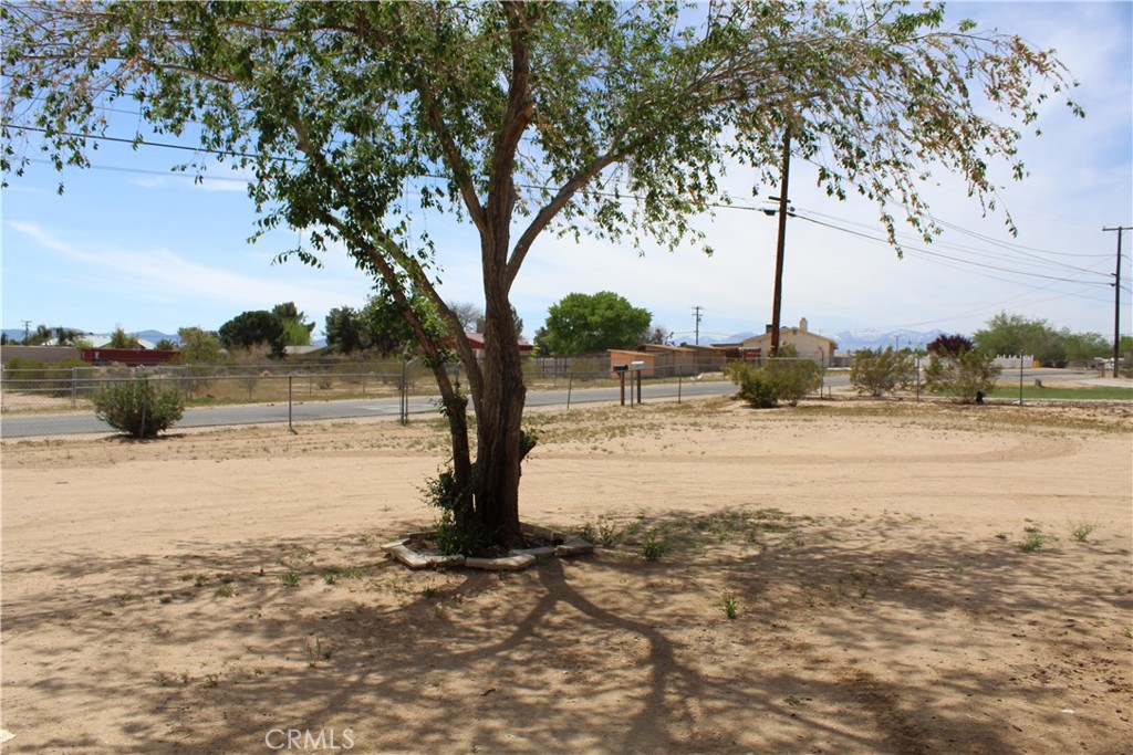 18062 Eucalyptus Street