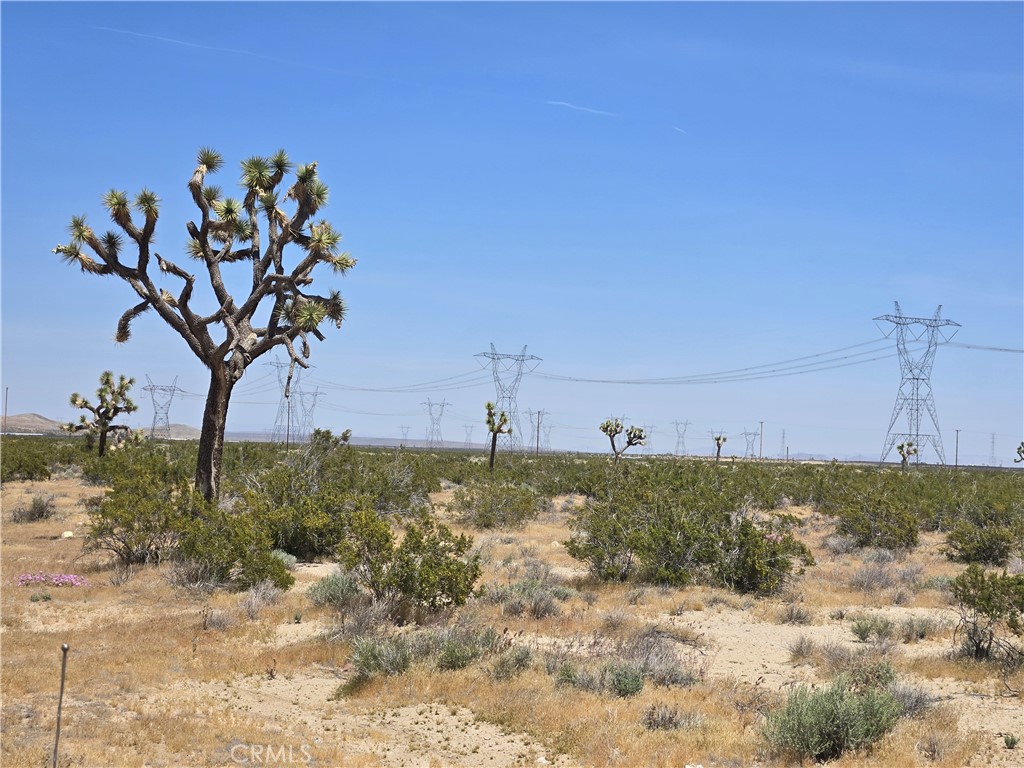 10 Acres Beaver Avenue