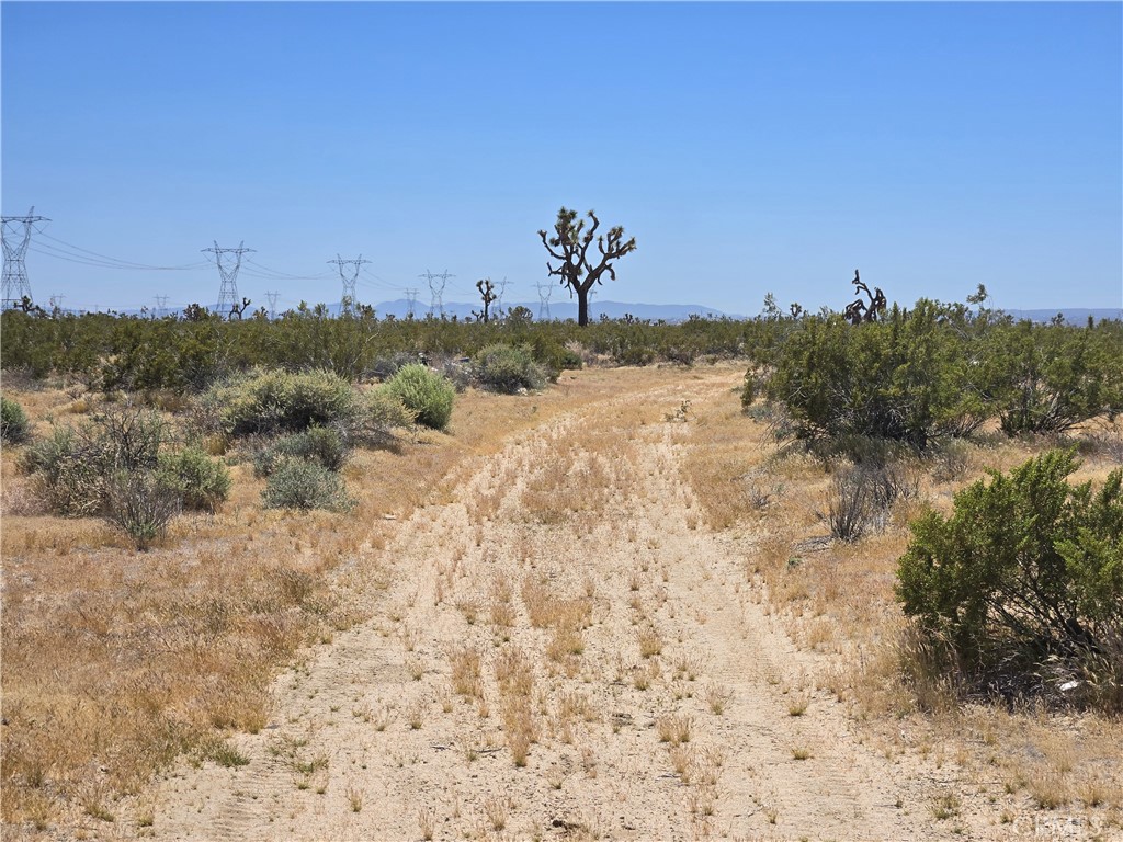 10 Acres Beaver Avenue