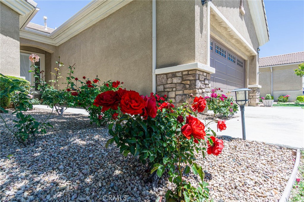 19478 Big Horn Street