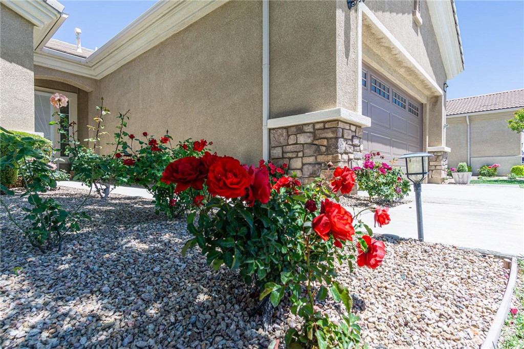 19478 Big Horn Street