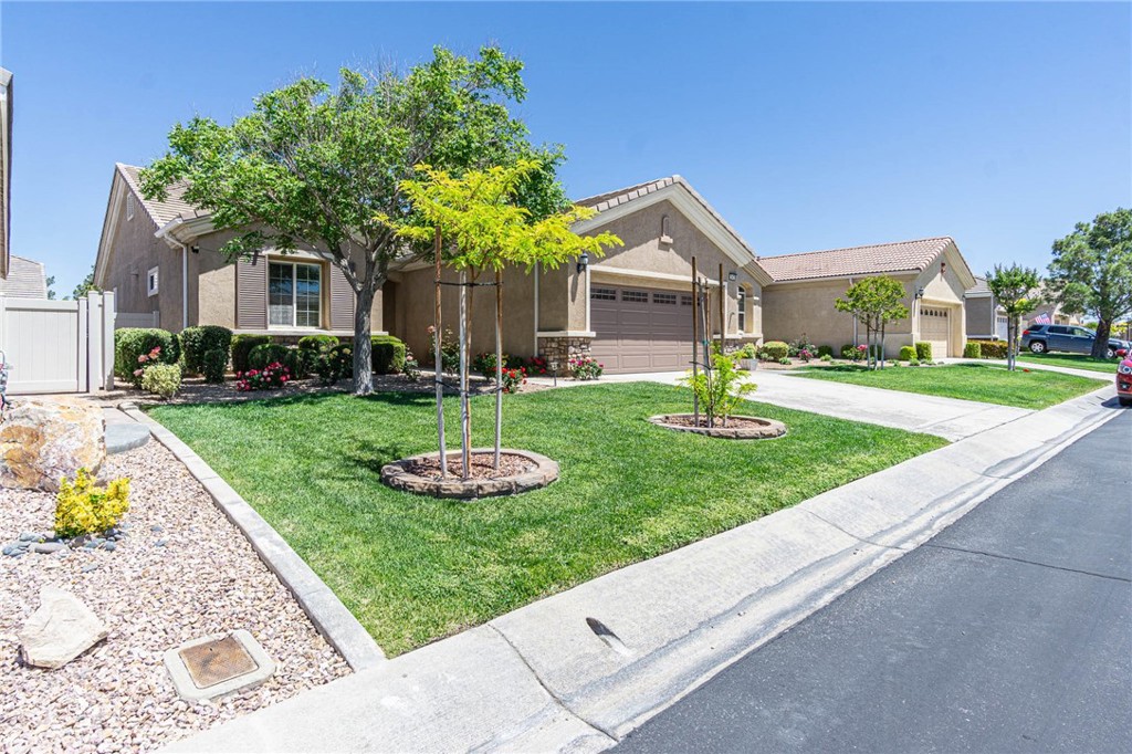 19478 Big Horn Street