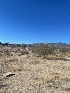 0 Pine Tree Road