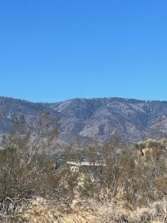 0 Pine Tree Road