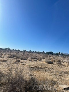 0 Pine Tree Road