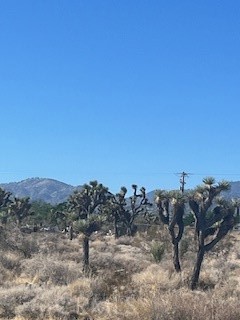 0 Pine Tree Road