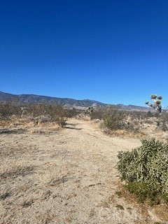 0 Pine Tree Road