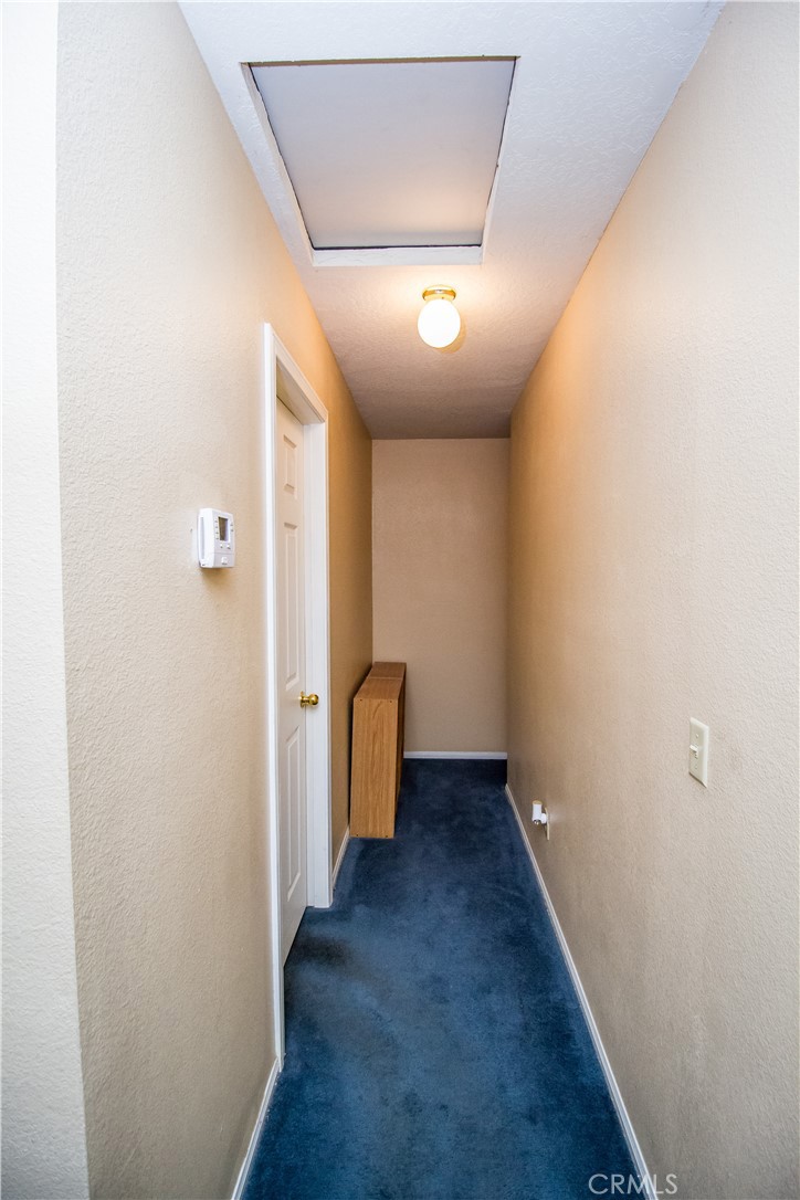 21295 Wisteria Street