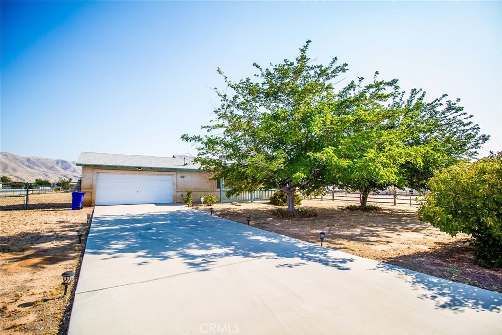 21295 Wisteria Street