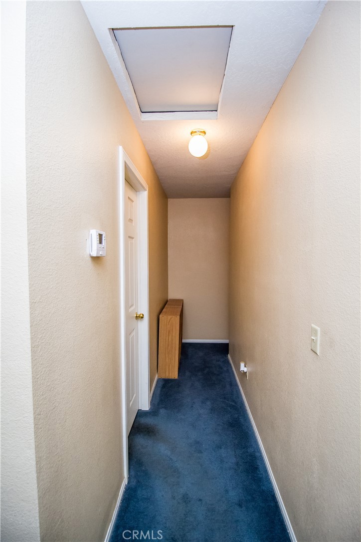 21295 Wisteria Street