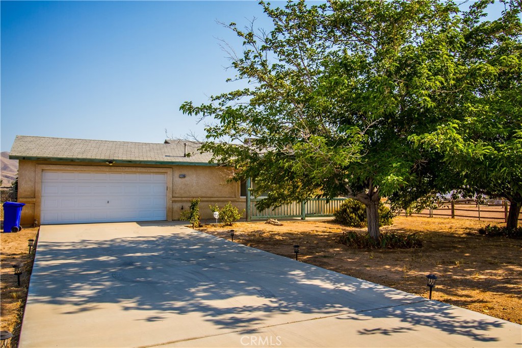 21295 Wisteria Street