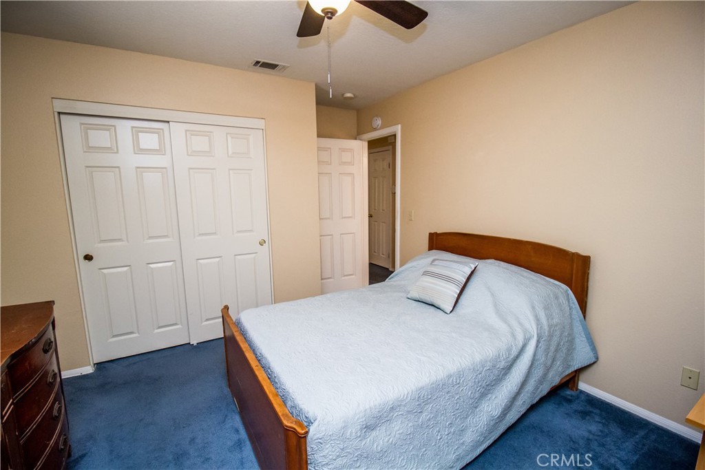 21295 Wisteria Street