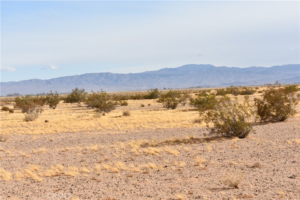 0 Buckthorne Caynon Rd