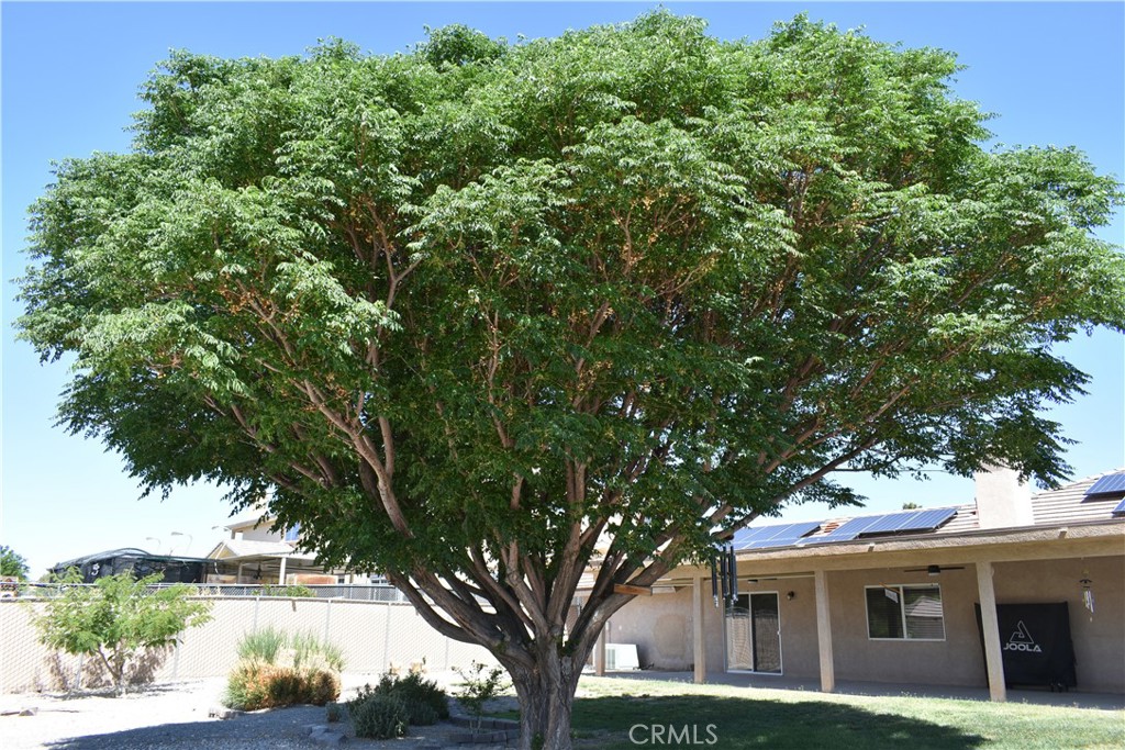 26709 Lakeview Drive