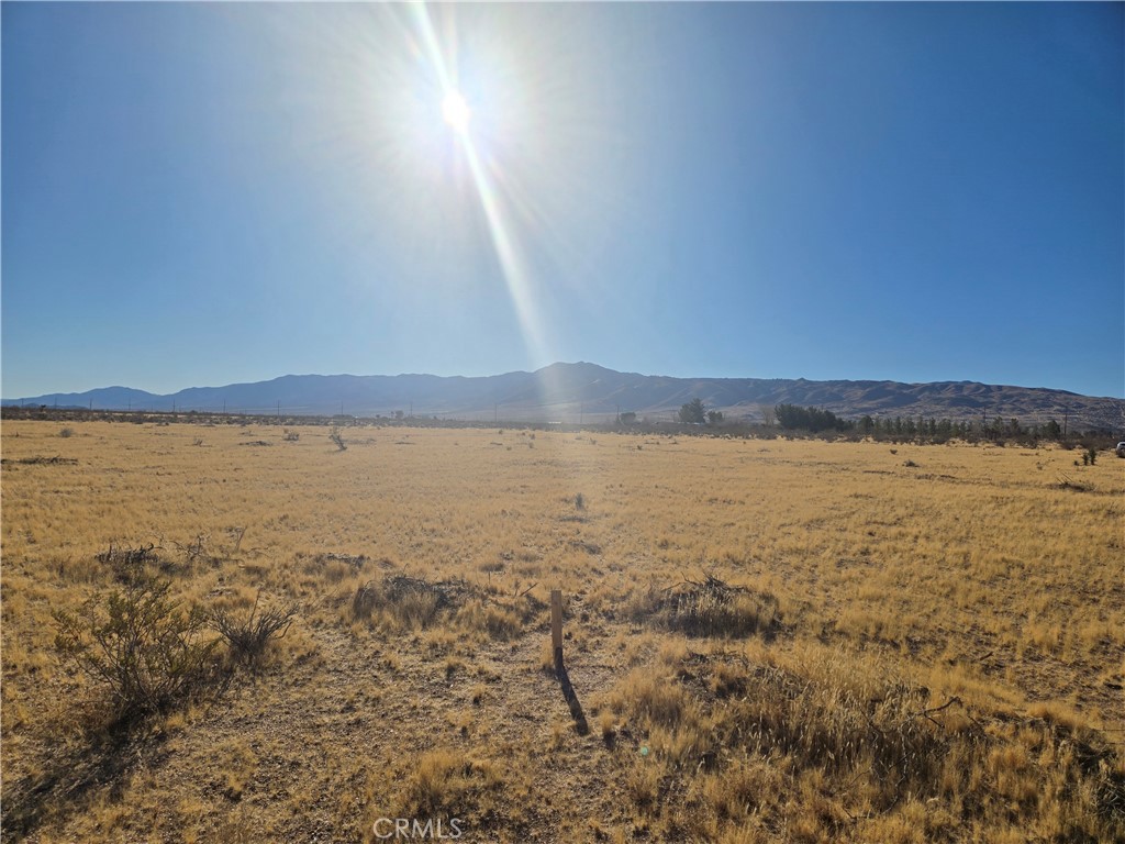 108900 SF Bellflower Street