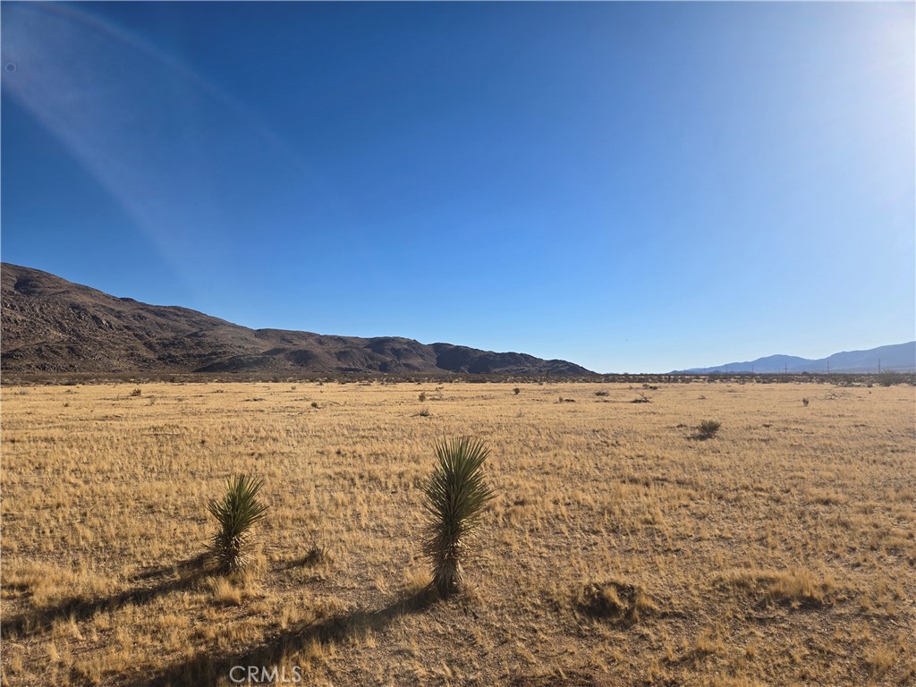 108900 SF Bellflower Street