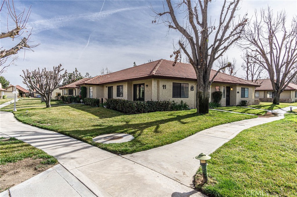 19256 Cottonwood