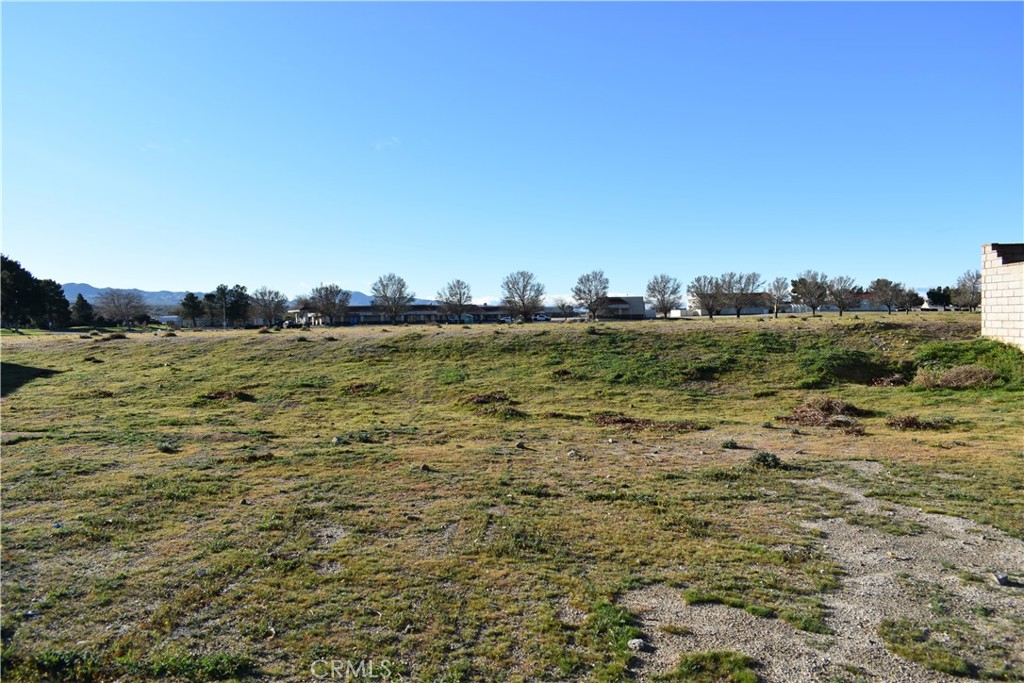 27237 Peach Tree Lane