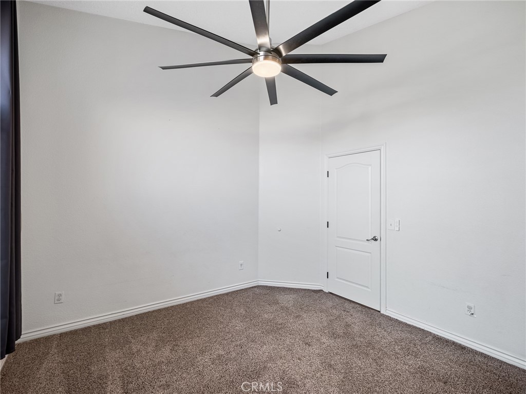 6232 Coriander