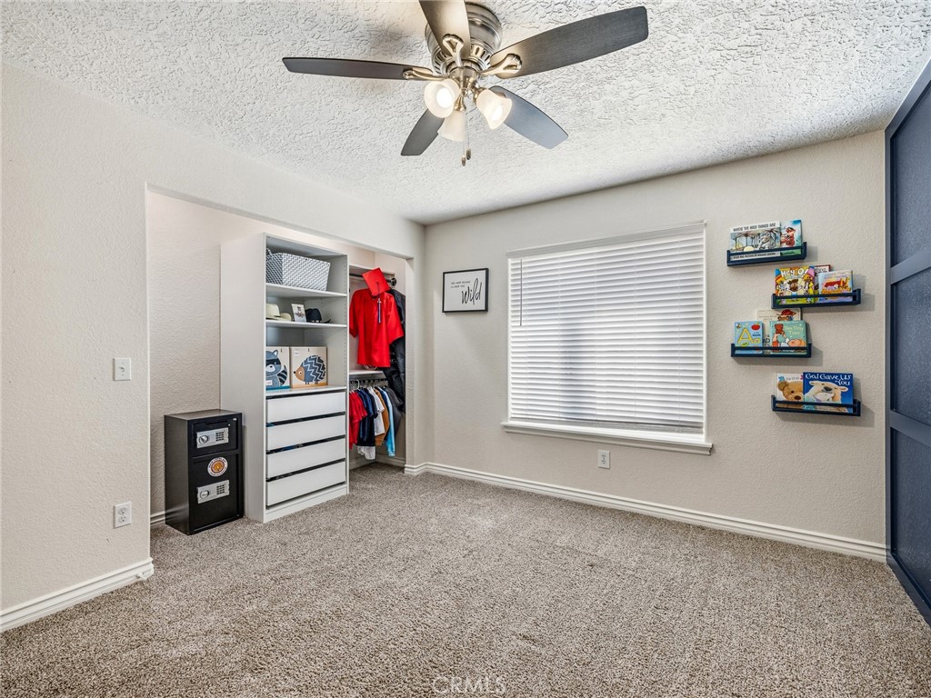 6232 Coriander