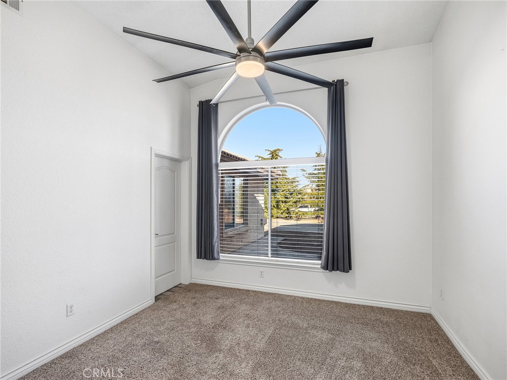 6232 Coriander