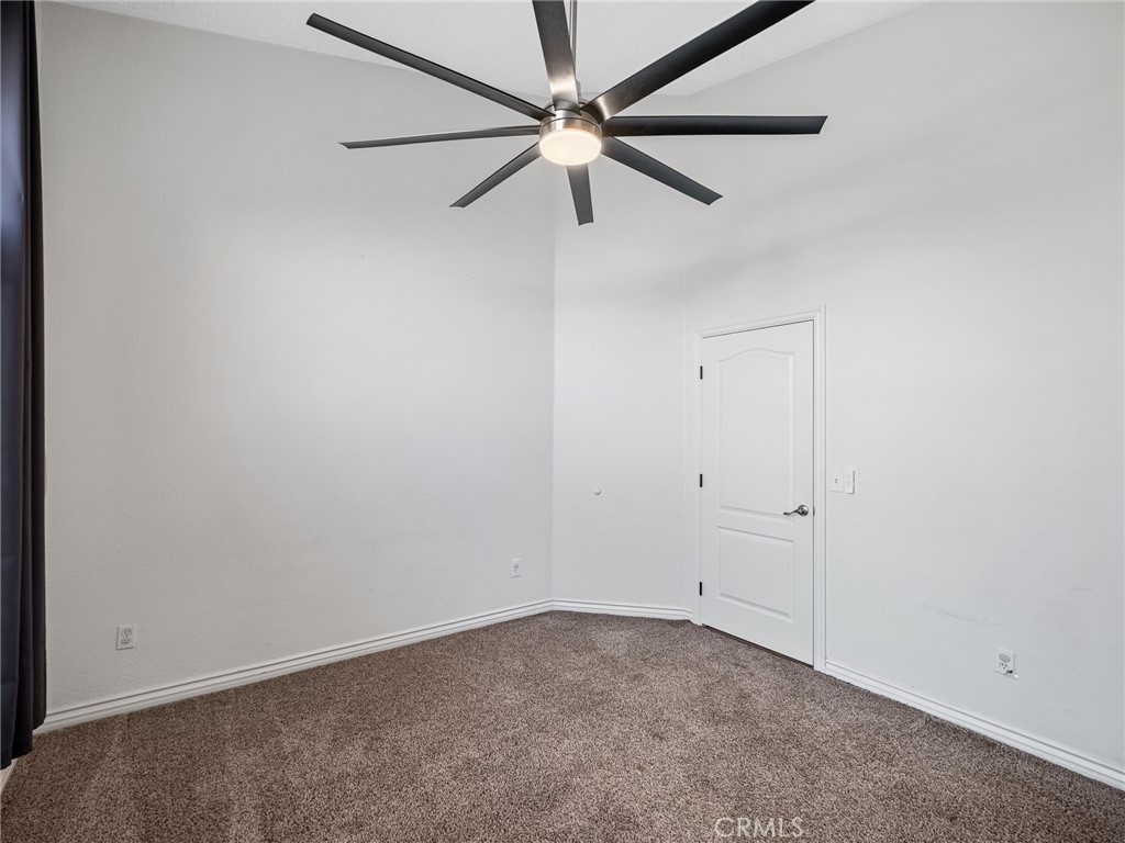 6232 Coriander