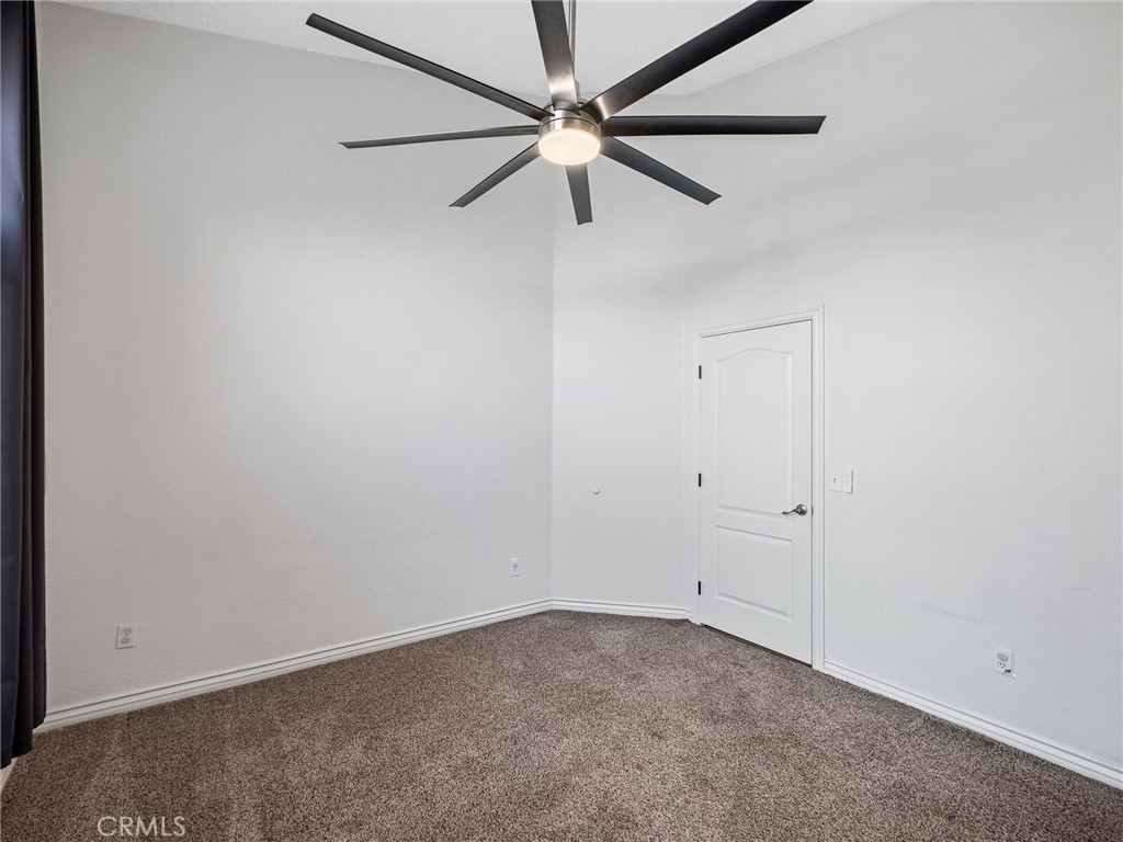 6232 Coriander